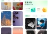 荷花壁纸v1.1去广告版 壁纸 头像 滤镜 表情包