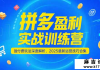 拼夕夕盈利实战训练营，强付费玩法深度解析，2025最新运...