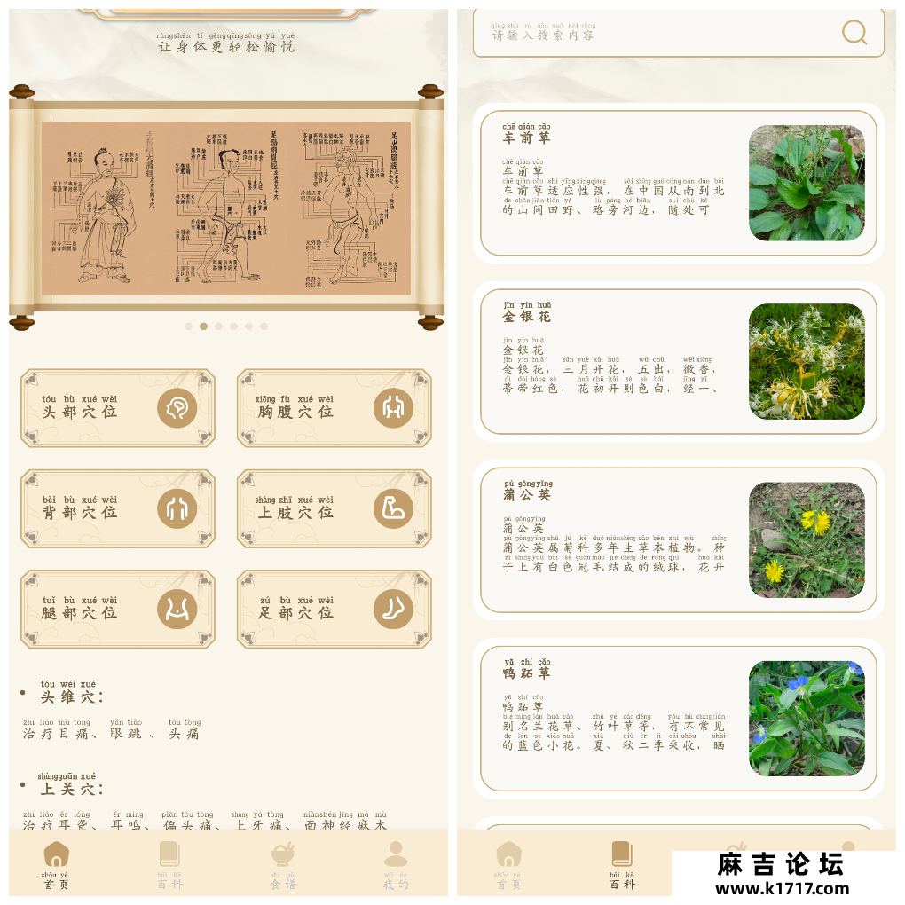 中医经络穴位典籍v1.1去广告版 中医爱好者必备